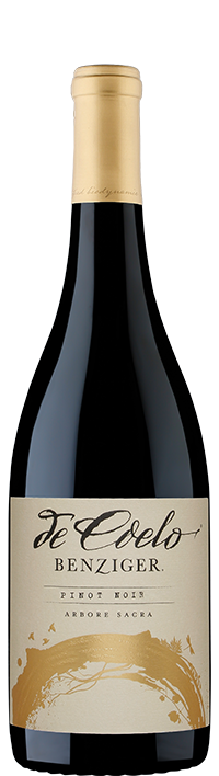 Wine Bottle