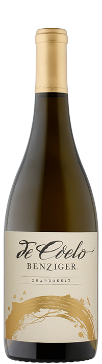 Wine Bottle