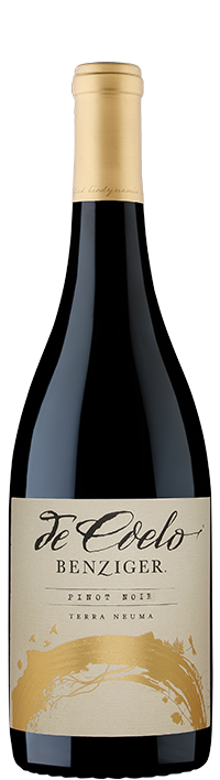 Wine Bottle