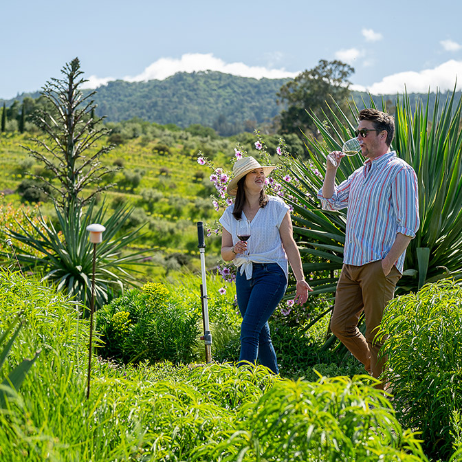 Benziger Family Winery | Sonoma Winery | Wine Tasting Benziger Family Winery | Sonoma Winery | Wine Tasting